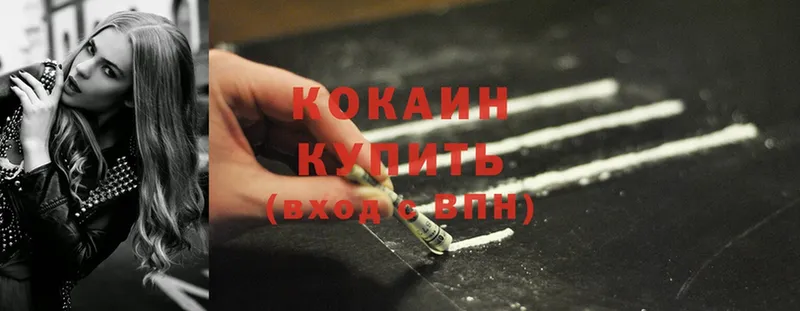 Cocaine FishScale  как найти закладки  Кстово 